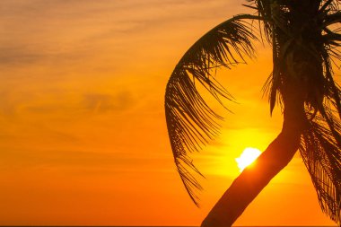  Sabah güneş ışık turuncu sıcak bölge.