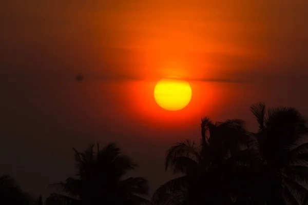 Soleil Lève Lentement Briller Travers Les Nuages Des Tonnes Noix — Photo