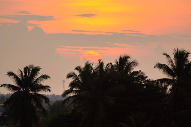 Sabah altın gökyüzü parlıyor.