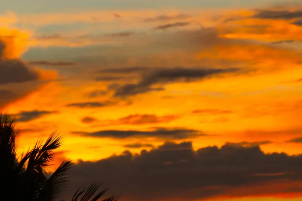 Die Sonne Scheint Morgens Der Regenzeit — Stockfoto