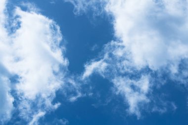 dünyanın dört bir yanından gelen işletmeler mali bağlanır havada bir değerdir bitcoin.