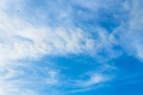 Cielo Azul Nubes Con Espacio Libre Diseño Web — Foto de Stock
