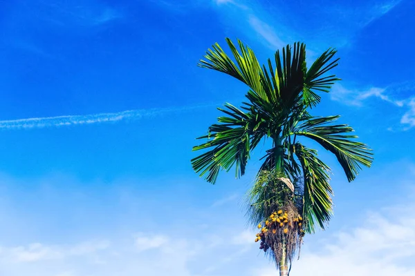 Cielo Azul Con Nubes Adecuadas Para Diseño Web — Foto de Stock