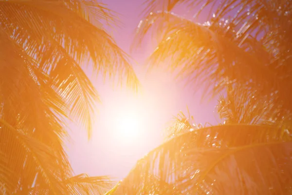 Prachtig Licht Van Natuur Bij Zonsondergang Elke Dag — Stockfoto