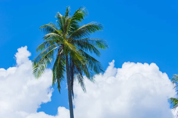 Viaje Las Nubes Tiene Fin — Foto de Stock