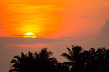 Altın ışık parlıyor gökyüzünde.