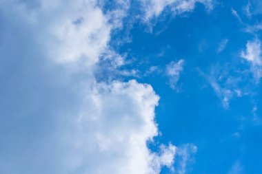 Buluta bağlanan dijital çevrimiçi ortam biçimi.