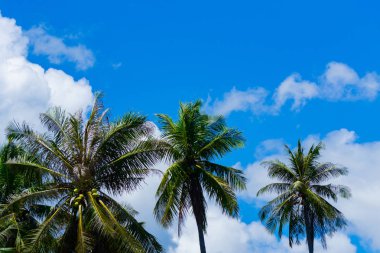 Gökyüzü doğa manzara arka fon için