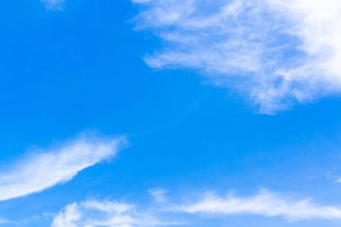  Yeşil çim ve günbatımı gökyüzü ile yer.