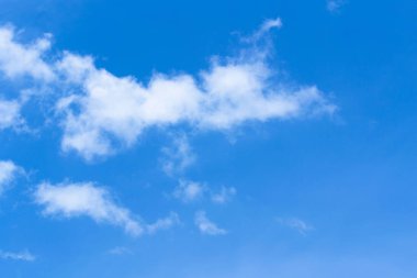 dünyanın dört bir yanından gelen işletmeler mali bağlanır havada bir değerdir bitcoin.