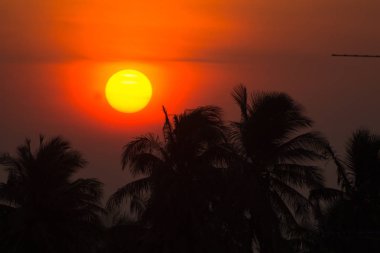  Güneş yavaş yavaş yukarı hareket ediyor. Bulutlar ve hindistancevizi ile şehir hayatı ton parlıyor.