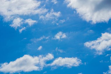 Yeni bir gün beklentisi ile insanlığın yeni yaratıklar ile gökyüzünde beyaz bulutlar.