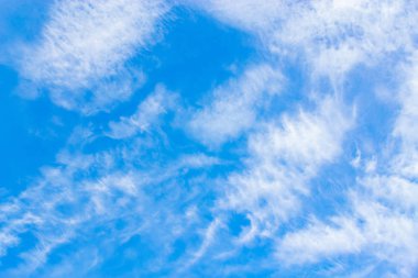  Havadaki bir yaz mavi zemin.