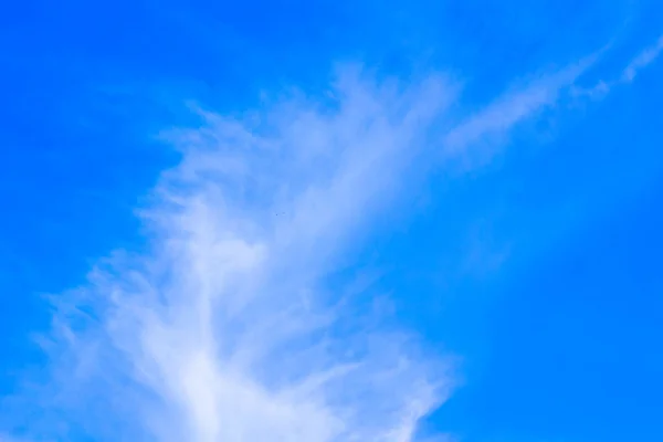 Havada Mavi Zemin — Stok fotoğraf