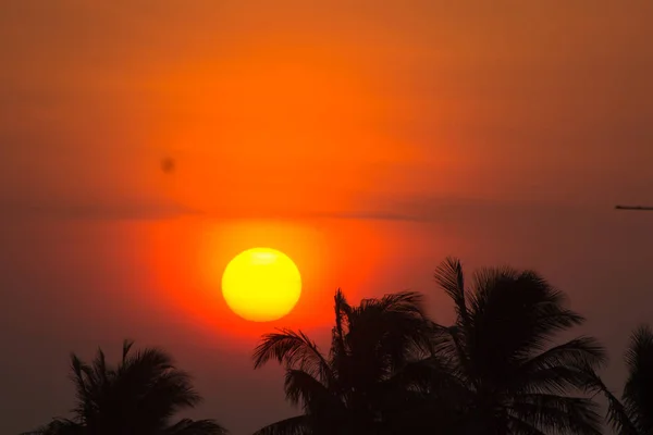 Солнце Медленно Движется Вверх Сияние Сквозь Облака Тонны Кокосов Жизнью — стоковое фото