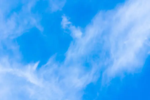 Letní Modrá Obloha Pozadí — Stock fotografie