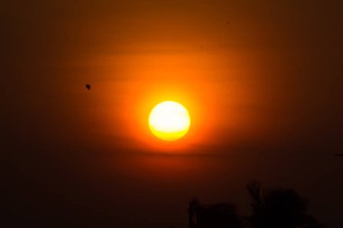  Güneş yavaş yavaş yukarı hareket ediyor. Bulutlar ve hindistancevizi ile şehir hayatı ton parlıyor.