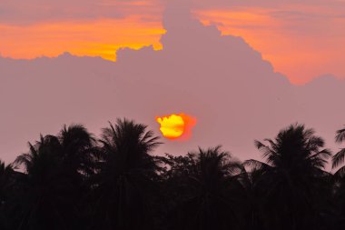  Sabah gündoğumu gökyüzü ve ağaçlar
