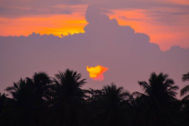  Sabah gündoğumu gökyüzü ve ağaçlar