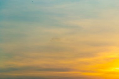 İş dünyası güneş yoluyla değiştirmek bayt ısırdı.