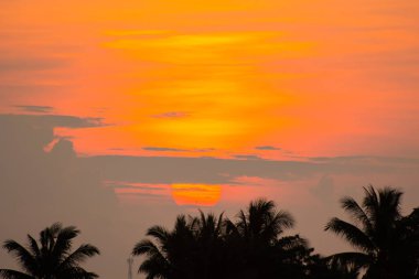 Altın ışık parlıyor gökyüzünde.