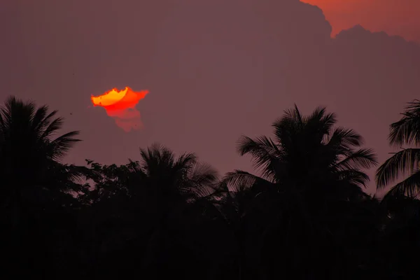 Ранок Схід Сонця Небо Дерева — стокове фото