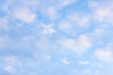 Buluta bağlanan dijital çevrimiçi ortam biçimi.