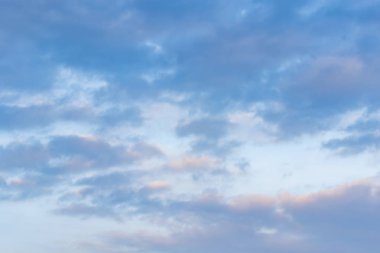 Buluta bağlanan dijital çevrimiçi ortam biçimi.