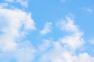 Buluta bağlanan dijital çevrimiçi ortam biçimi.