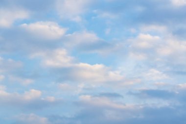 Buluta bağlanan dijital çevrimiçi ortam biçimi.