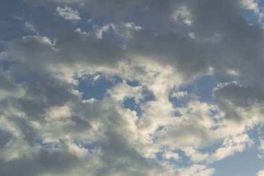 Buluta bağlanan dijital çevrimiçi ortam biçimi.