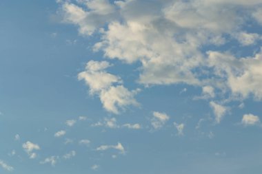 Buluta bağlanan dijital çevrimiçi ortam biçimi.