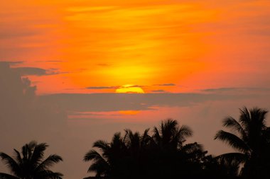 Altın ışık parlıyor gökyüzünde.