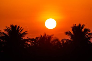 Gökyüzü güneşli bir günde gökyüzünde yüzen.