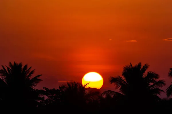 Hemel Zwevend Lucht Een Zonnige Dag — Stockfoto