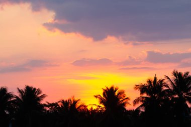 Gökyüzü güneşli bir günde gökyüzünde yüzen.