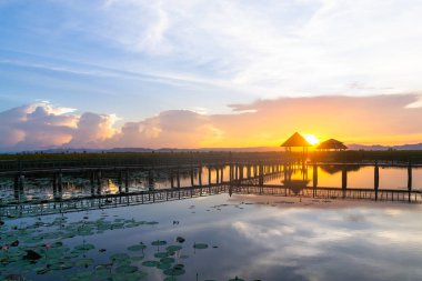 Bulutlu gökyüzü ve gün batımı, yağışlı sezon lotus Tayland .