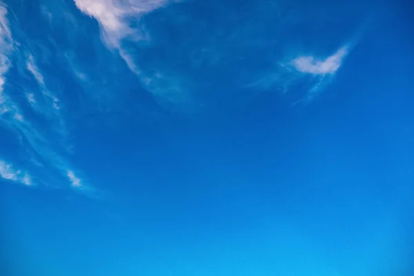 Синий Отскок Воздухе — стоковое фото