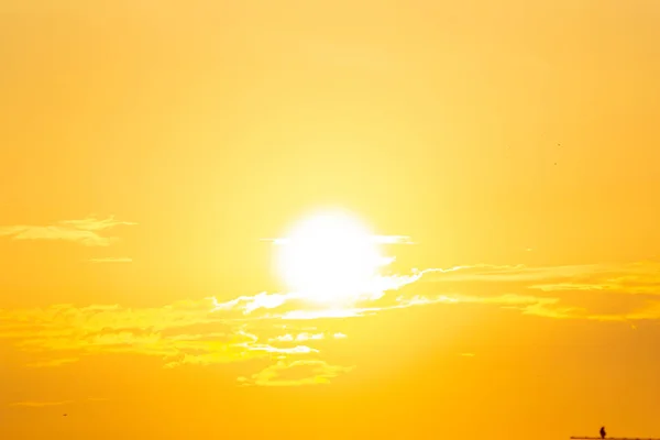 Gökyüzü Güneşli Bir Günde Gökyüzünde Yüzen — Stok fotoğraf
