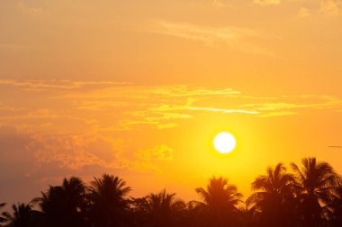 Gökyüzü güneşli bir günde gökyüzünde yüzen.