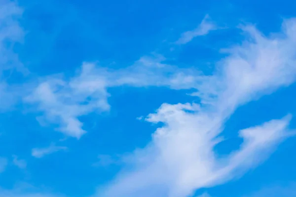 Buluta Bağlanan Dijital Çevrimiçi Ortam Biçimi — Stok fotoğraf