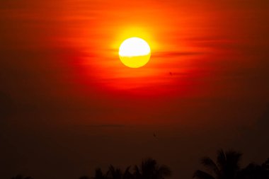 Altın ışık parlıyor gökyüzünde.