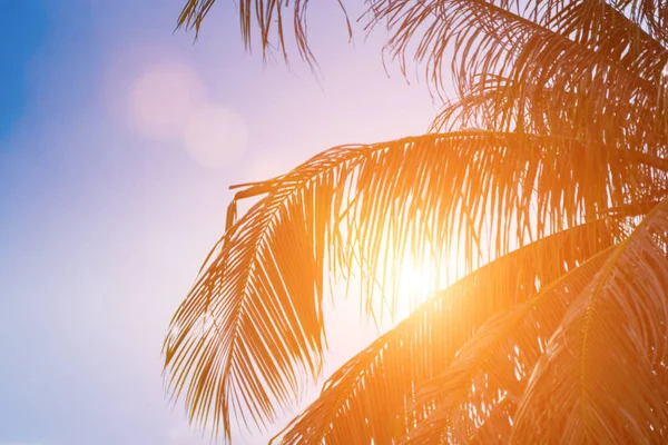 Prachtig licht van de natuur bij zonsondergang elke dag — Stockfoto