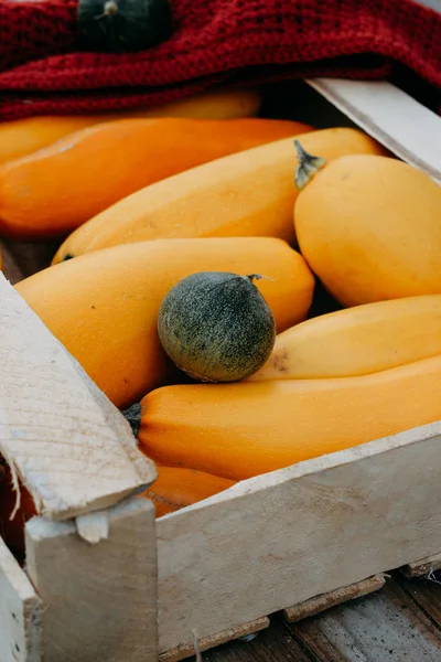 yellow marrow squash in a wooden box, top view