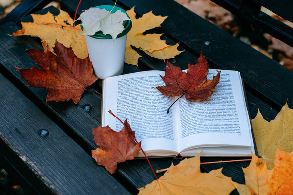Autumn still life. open book, cup of coffee yellow foliage in the park on a wooden bench