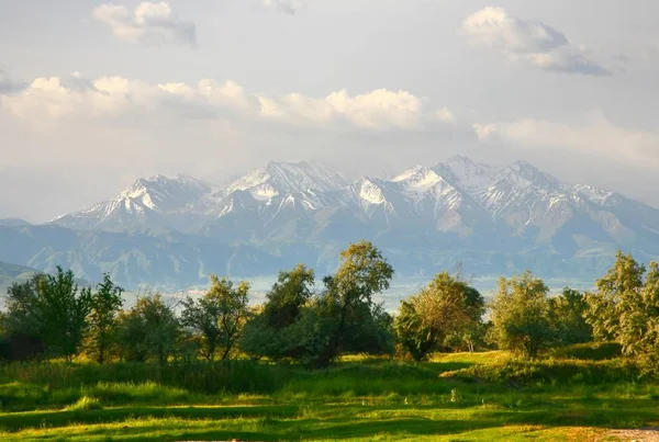 Nationalparken Ala Archa Tian Shan Bergen Bisjkek Kirgizistan — Stockfoto