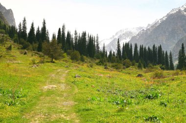 Bishkek Kırgızistan 'ın Tian Shan dağlarındaki Ala Archa Milli Parkı