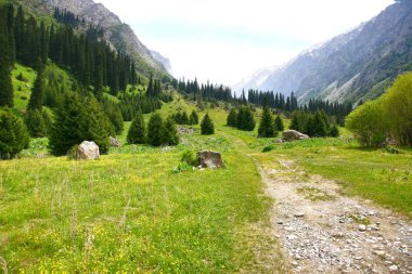 Bishkek Kırgızistan 'ın Tian Shan dağlarındaki Ala Archa Milli Parkı
