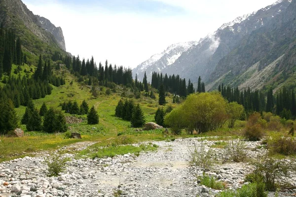 Bishkek Kırgızistan 'ın Tian Shan dağlarındaki Ala Archa Milli Parkı