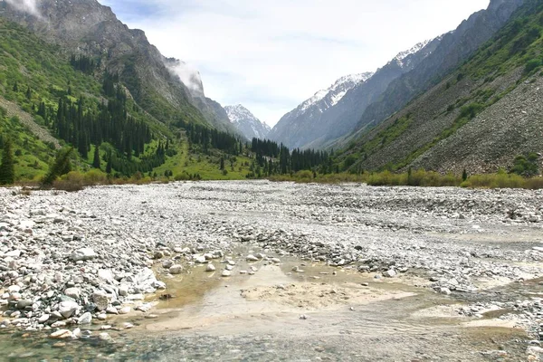 Bishkek Kırgızistan 'ın Tian Shan dağlarındaki Ala Archa Milli Parkı